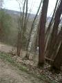 IMAG0009.JPG